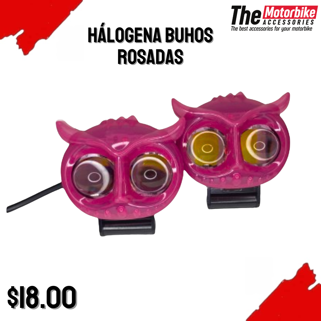 The Motorbike Accessories